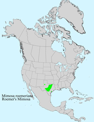 North America species range map for Mimosa roemeriana: North America species range map for Mimosa roemeriana: